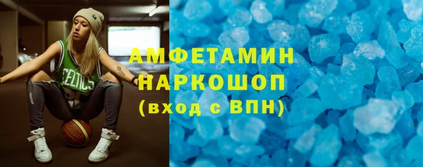 прущие грибы Горно-Алтайск