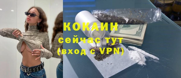 apvp Горняк