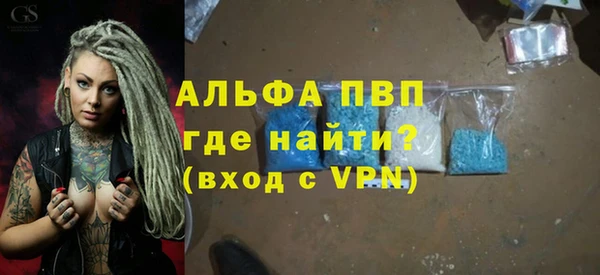 прущие грибы Горно-Алтайск