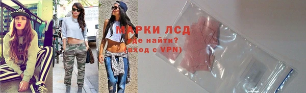 apvp Горняк