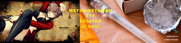 прущие грибы Горно-Алтайск