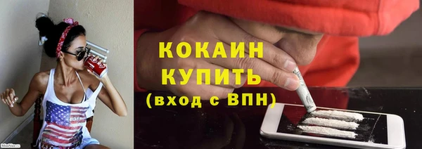 прущие грибы Горно-Алтайск