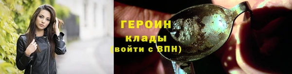 прущие грибы Горно-Алтайск