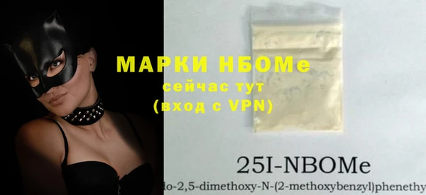 прущие грибы Горно-Алтайск