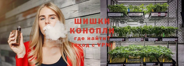 apvp Горняк