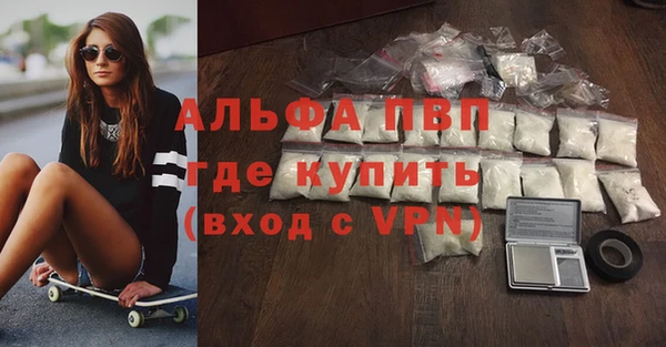 прущие грибы Горно-Алтайск