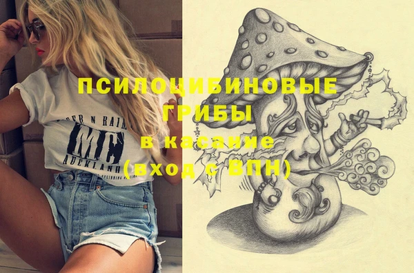 прущие грибы Горно-Алтайск