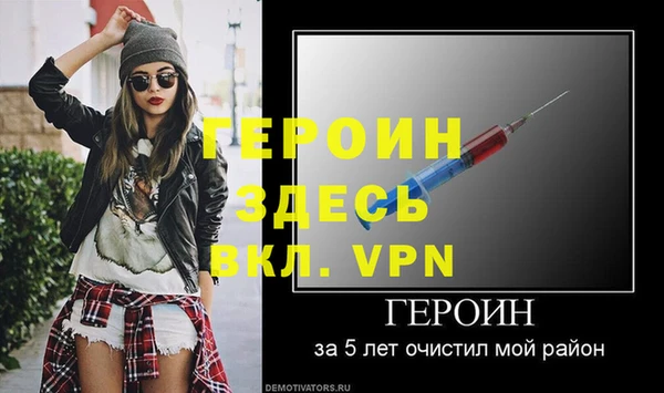 прущие грибы Горно-Алтайск