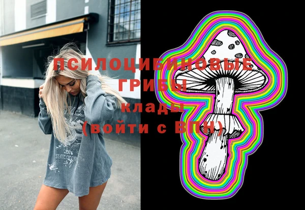 прущие грибы Горно-Алтайск